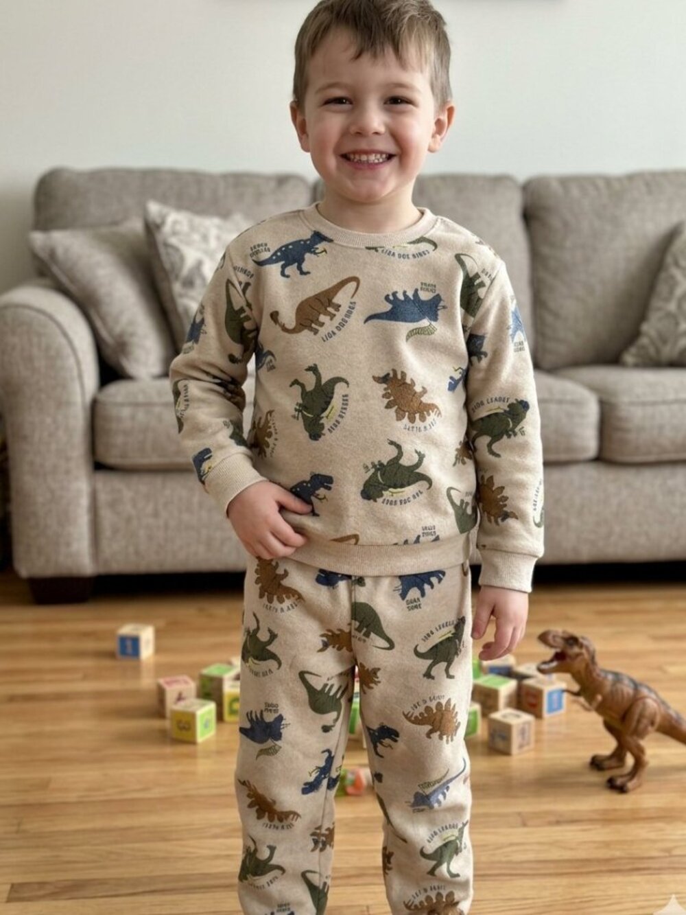 Garanimals Dinosaur Sweatshirt Jogger Set 2pc Size 5T